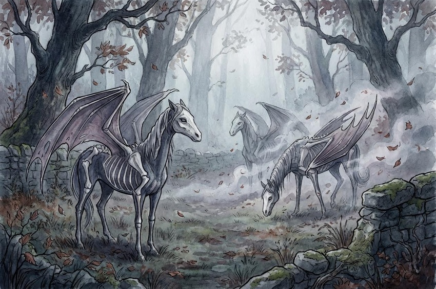 Gli Thestral e il Problema della Morte a Hogwarts